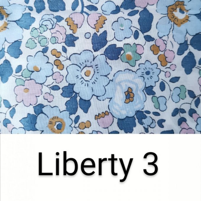 sac à dos  liberty n°3