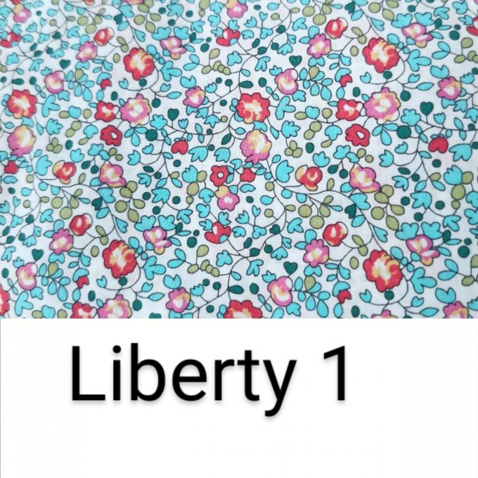 sac à dos  liberty n°1